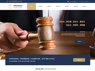 精美(měi)模闆-law-289