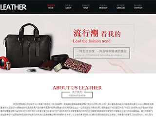 精美(měi)模闆-leather-100