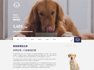 精美(měi)模闆-pets-1045600