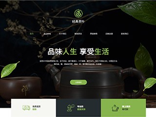 精美(měi)模闆-tea-380