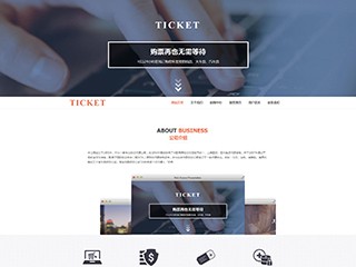 精美(měi)模闆-ticketing-106